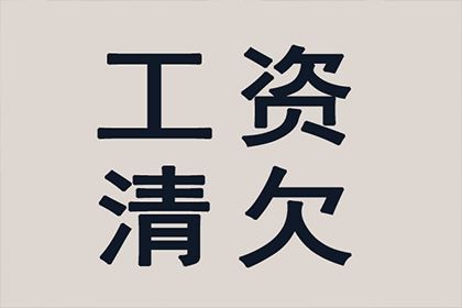 债务强制执行申请法院流程详解